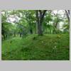 DSCN9603.JPG