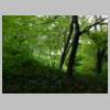 DSCN9604.JPG