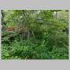 DSCN9605.JPG