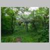 DSCN9607.JPG