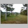 DSCN1672.JPG