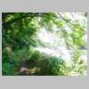 DSCN3515.JPG