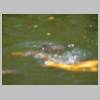 DSCN3526.JPG