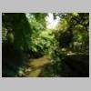 DSCN3529.JPG