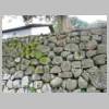 DSCN0703.JPG