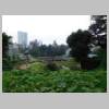 DSCN0732.JPG