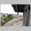 DSCN5954.JPG