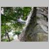 DSCN5972.JPG