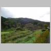 DSCN6070.JPG