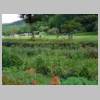 DSCN6071.JPG