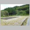 DSCN6084.JPG