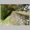 DSCN7929.JPG