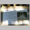 DSCN5535.JPG