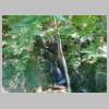 DSCN5545.JPG