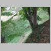 DSCN5406.JPG