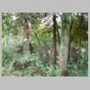 DSCN5412.JPG