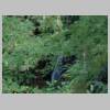 DSCN5413.JPG
