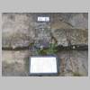 DSCN3691.JPG