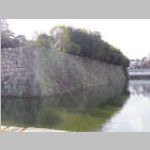 IMGP1490.JPG