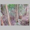 DSCN5323.JPG