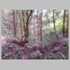 DSCN5329.JPG