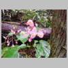 DSCN5332.JPG