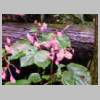 DSCN5333.JPG