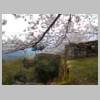 DSCN7682.JPG