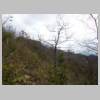 DSCN7713.JPG