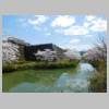 DSCN7339.JPG