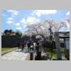 DSCN7341.JPG