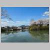 DSCN7417.JPG