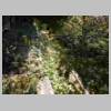 DSCN5148.JPG