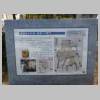 DSCN8315.JPG