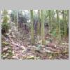 DSCN5339.JPG