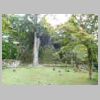 DSCN5372.JPG