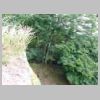 DSCN5392.JPG