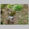 DSCN5403.JPG