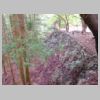 DSCN5416.JPG