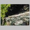 DSCN5153.JPG