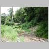 DSCN5041.JPG