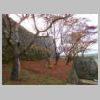 DSCN7282.JPG