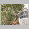 DSCN7060.JPG