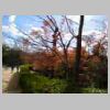 DSCN7063.JPG