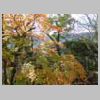 DSCN7126.JPG