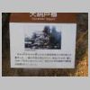 DSCN2315.JPG