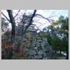 DSCN1908.JPG