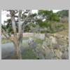 DSCN6134.JPG