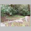 DSCN3029.JPG