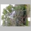 DSCN3055.JPG